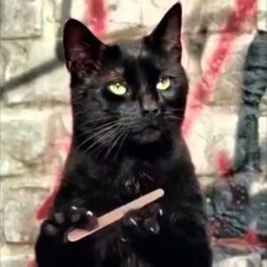 Meet your Posher, Leah